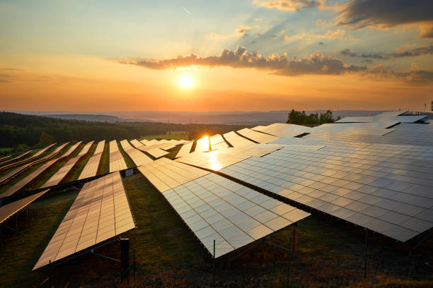 How to Start a Solar Energy Company in Denver